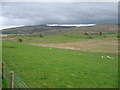 Farmland east of Ireby