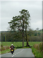 The B4358 to Beulah, Powys