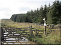 NY8175 : A byway leading to Simonburn Common by Ian S