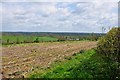 From Moisty Lane looking across towards Woodford