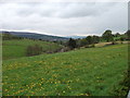 Looking down on Sychnant