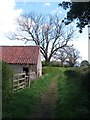 Bridleway to Kirkby Malzeard