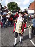 SU9032 : Yeovil Town Crier by Colin Smith