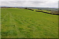 Grazing land near Huntington