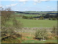 Pastures below Hill House