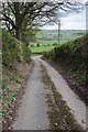 Road below Penllan