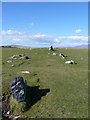 NF9081 : The Chairstones - Berneray by Richard Law