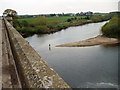 NT8947 : Fly Fisherman in the River Tweed by Bill Henderson