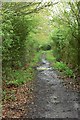 Footpath to Stacey