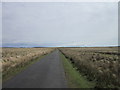NY6370 : The road to Butterburn by Ian S