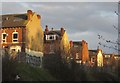 Ends of terraces, Burley Park