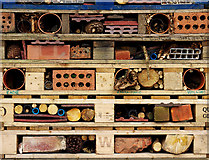 J4967 : 'Bug hotel', Castle Espie by Rossographer