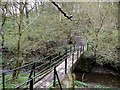 Footbridge over Stanley Burn