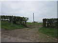 A path leading to The Gill farm