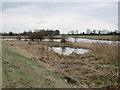 Botany Bay by Little Ouse River