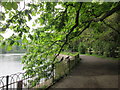 Embankment of Shornden Reservoir