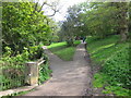 Footpath near Shornden Reservoir