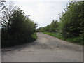 A bridleway to Scotby Shield