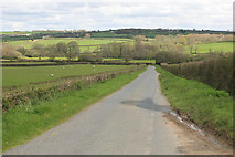 SX3587 : Rural road towards Bolford Bridge by roger geach