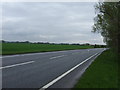 A142 towards Newmarket