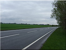 TL5974 : A142 towards Newmarket by JThomas