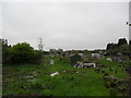 Newbury Avenue Allotments