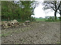 Abandoned circular saw bench by Mill Wood