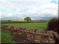 Rural Scene viewed from Whittington Road