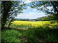 Looking towards Comp Farm from Lord