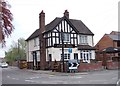 Apple Tree - Stoop Lane