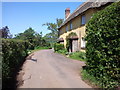 Hollis Head cottages