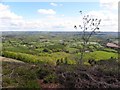 View from Knockmany chambered cairn