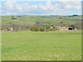 Pastures south of Cross House