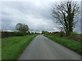 TL8969 : Brand Road towards Great Barton by JThomas