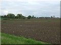 Farmland, Norton Little Green