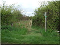 Footpath off Ashfield Road