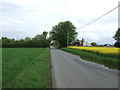 Norton Road towards Button Haugh Green