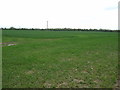 Farmland off Haugh Lane