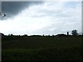 Grazing land off Bacton Road