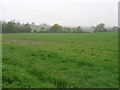 Farmland near Buxhall