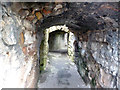 NT9953 : Berwick-upon-Tweed:  tunnel under the Gun Tower by Dr Neil Clifton