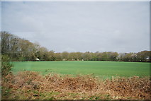 TQ2335 : Farmland by the Arun Valley Line by N Chadwick