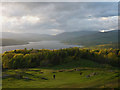 NY3801 : The northern reaches of Windermere from Brant Fell by Karl and Ali