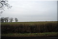 Countryside near Stonegate Station