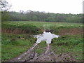 Fording the River Brett