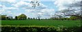 Fields near Twemlow Green