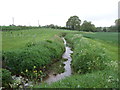 Stream at Masons Bridge