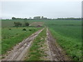 Bridleway towards Lower Raydon