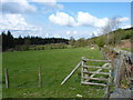 A roadside field at Celyngoed