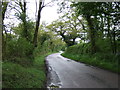 Rectory Road towards Frating